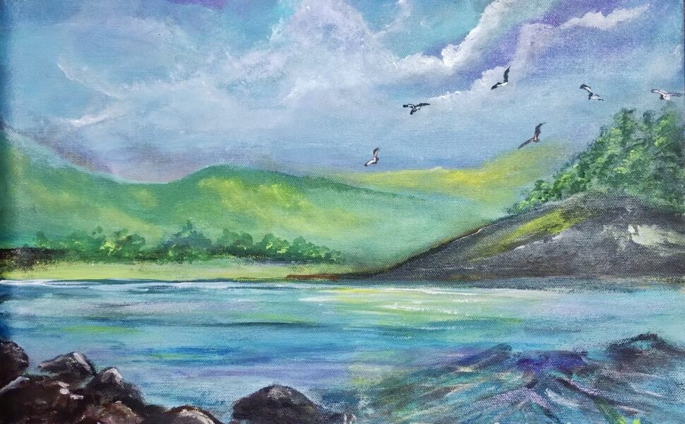 Flight over Emerald Cove